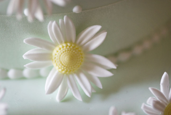 As Fresh As a Sugar Daisy, Wedding Cake